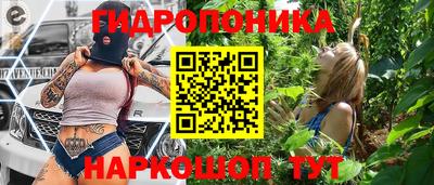 крисы Абакан