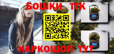 крисы Абакан