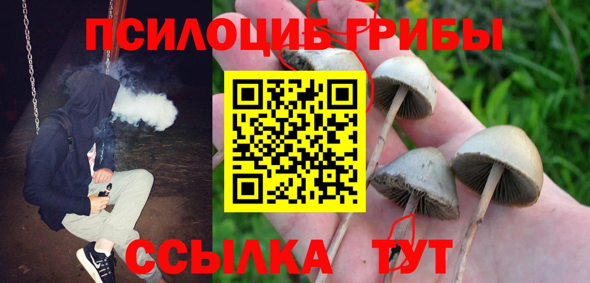 Мурманск  Псилоцибиновые грибы мухоморы  Вход с VPN 