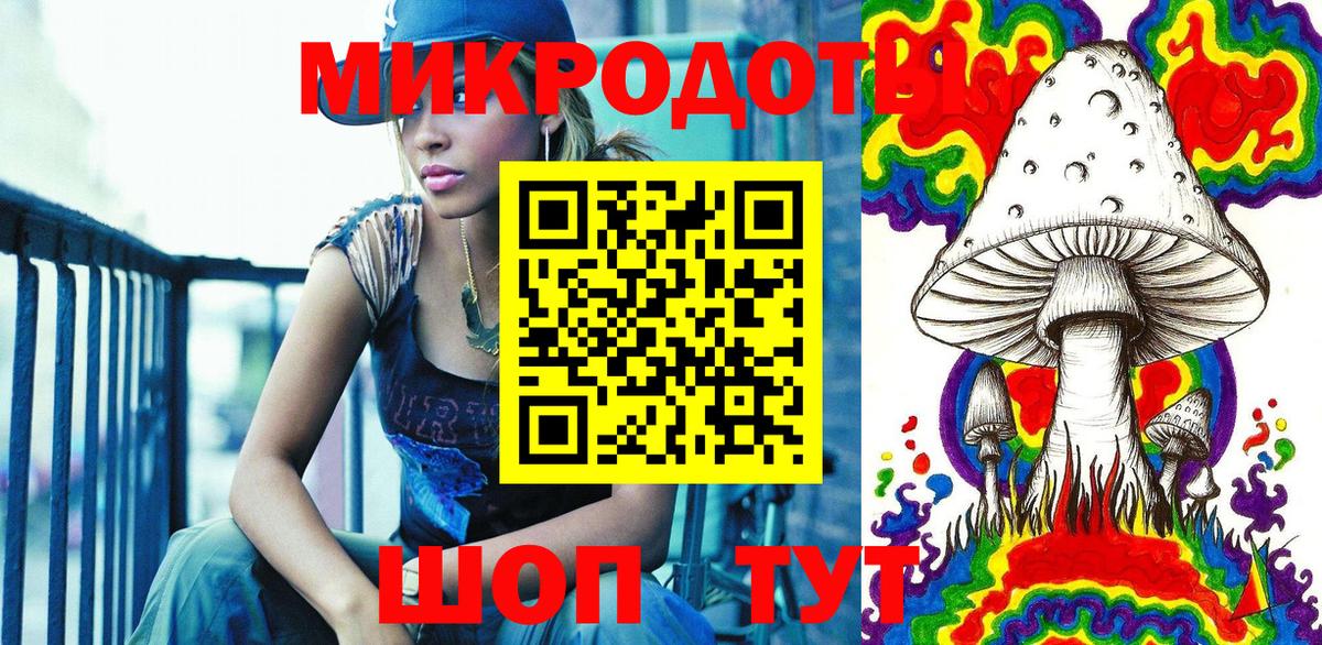 Галлюциногенные грибы Psilocybine cubensis Мурманск