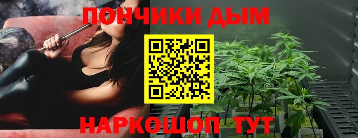 Шишки марихуана Bruce Banner Мурманск